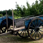 Szálloda Des Pins - Teritoria