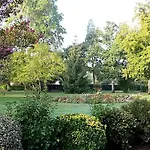 Des Pins - Teritoria 3*