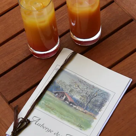 Des Pins - Teritoria Hotel