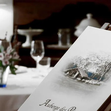 Hotel Des Pins - Teritoria Sabres
