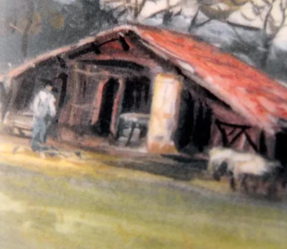 Des Pins - Teritoria 3*