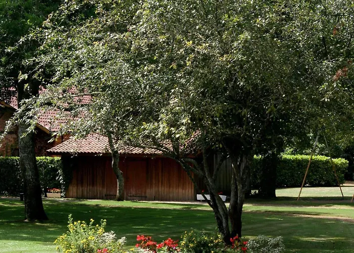 Des Pins - Teritoria 3*